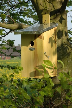 Observatie Nestkast